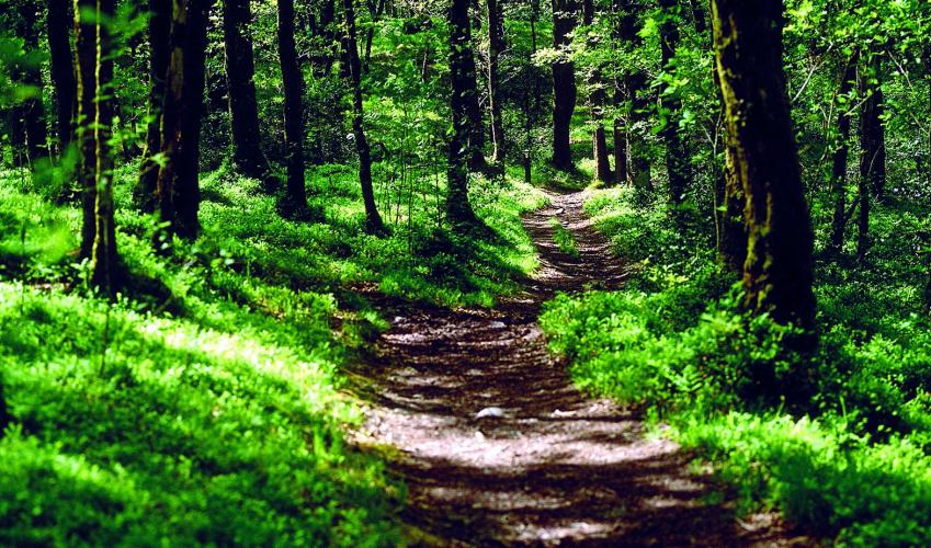 Second Image