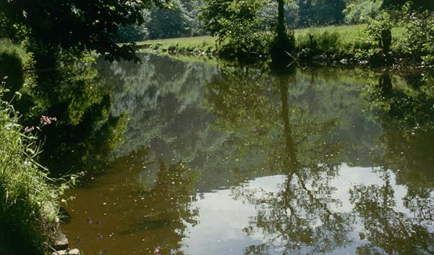 Second Image