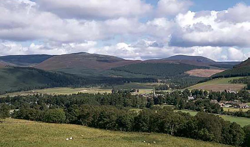 Second Image
