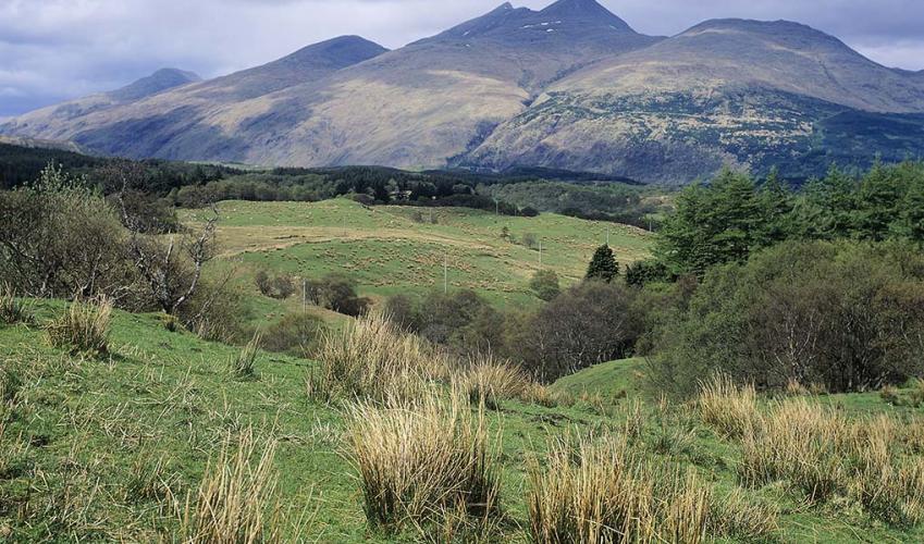Second Image