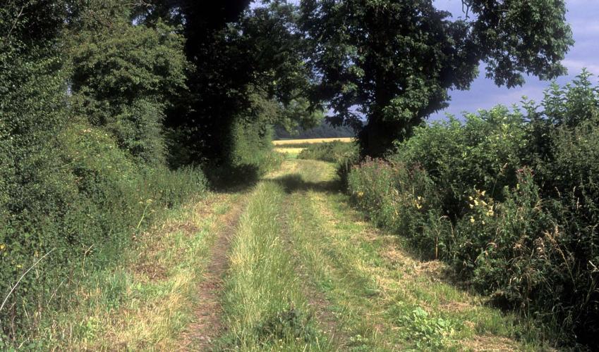 Second Image