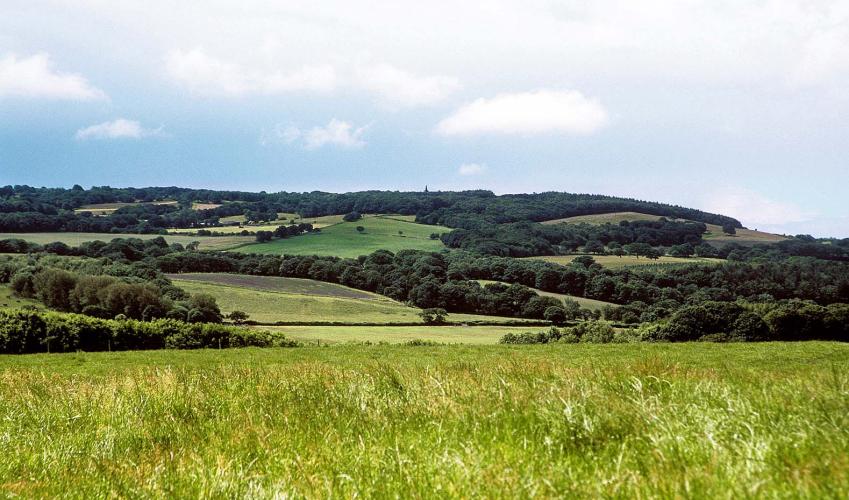 Second Image