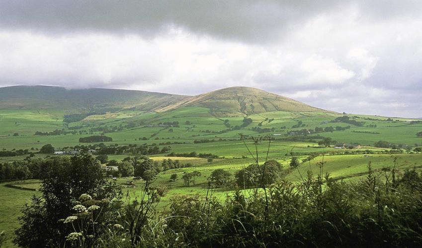 Second Image