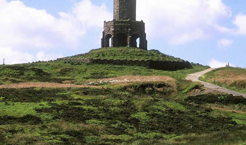 Second Image