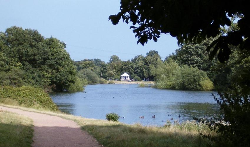 Second Image