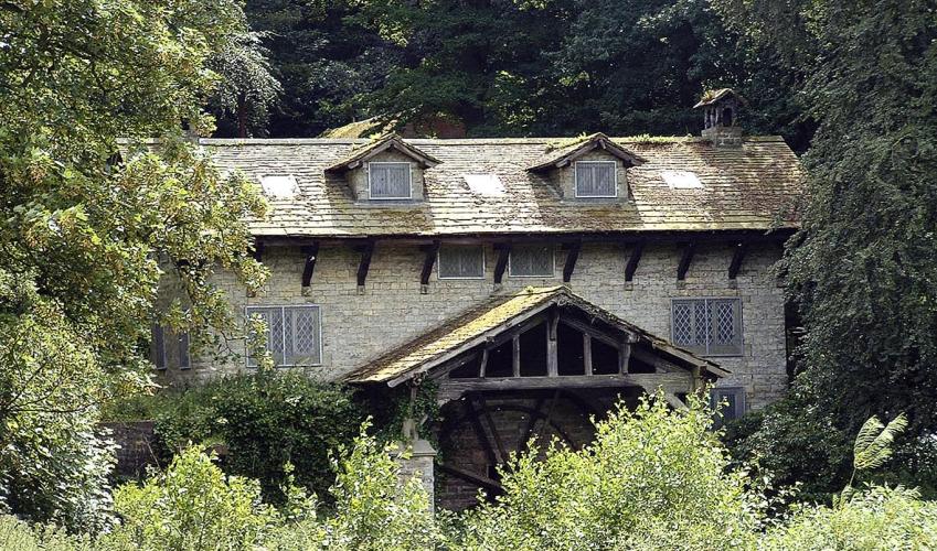 Image 4