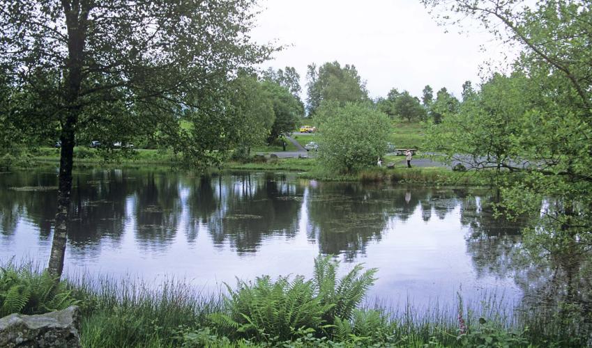 Second Image