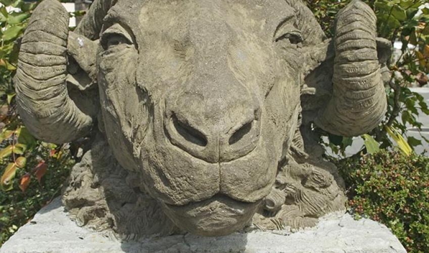 Second Image
