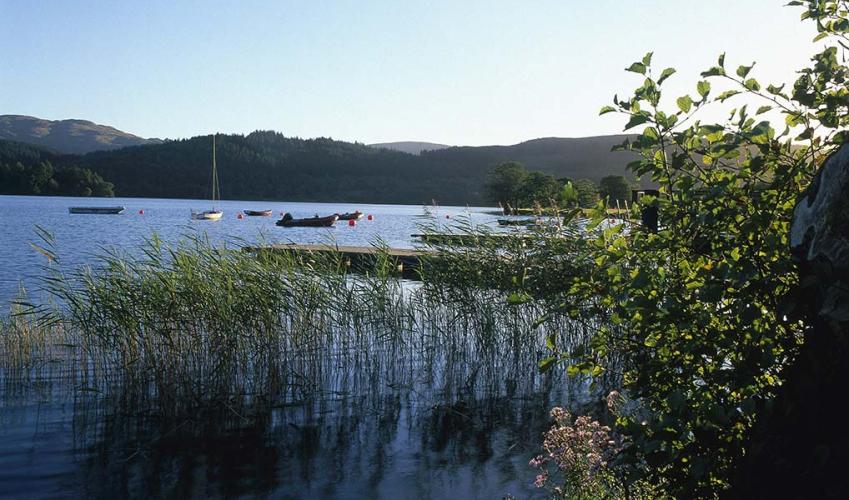 Second Image