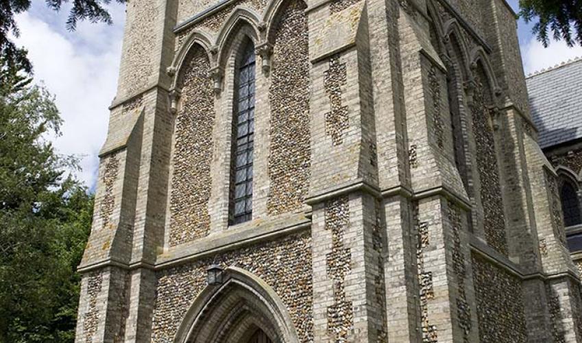 Image 7