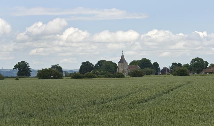 Second Image
