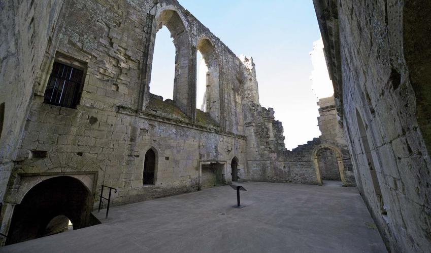 Image 7