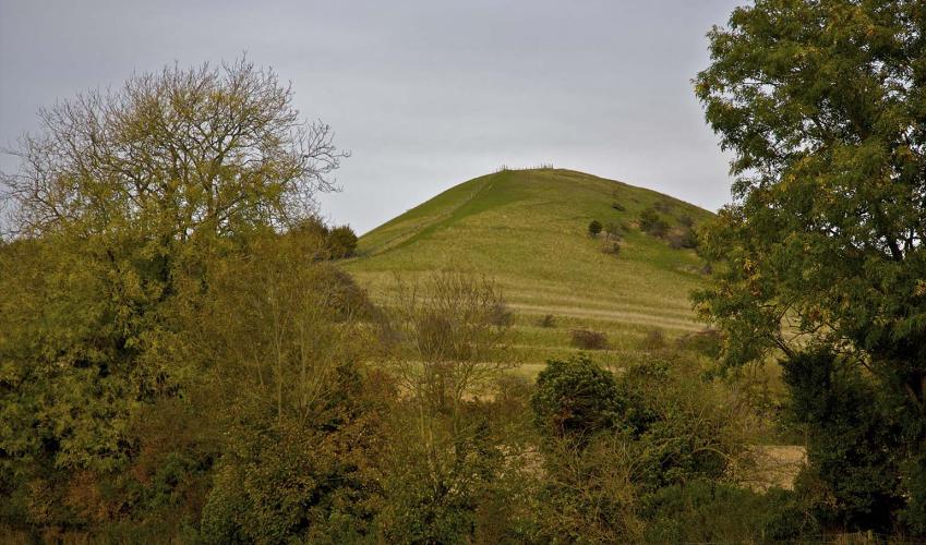 Second Image