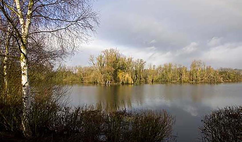 Second Image
