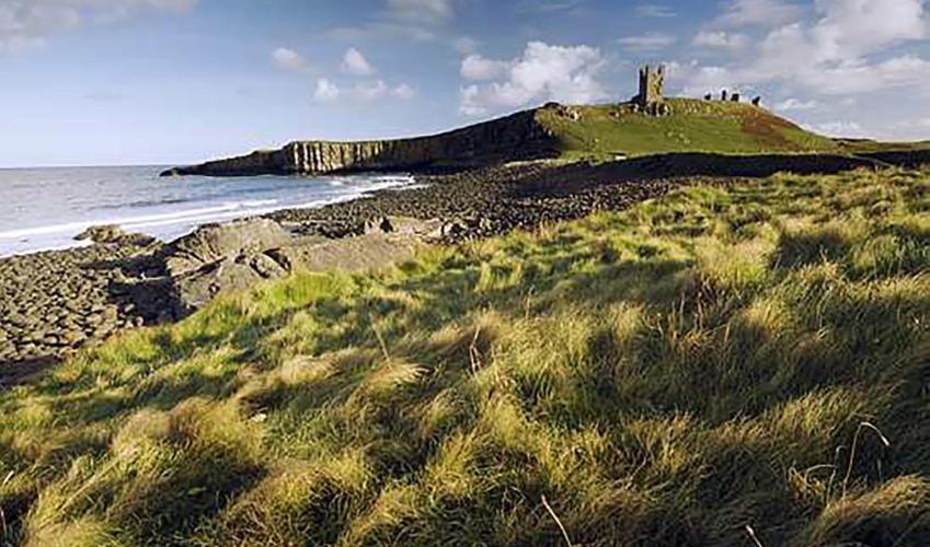 Second Image