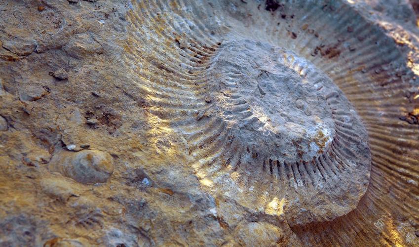 Second Image
