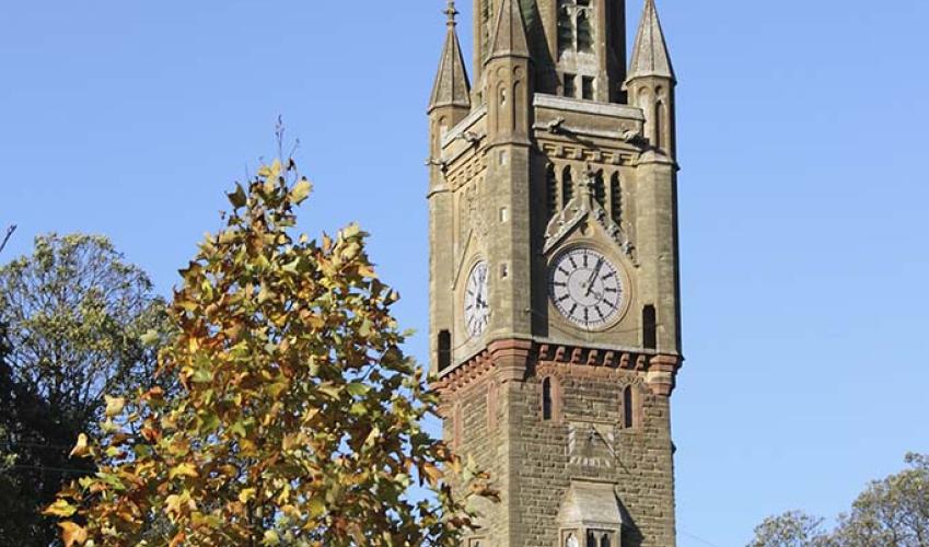 Second Image