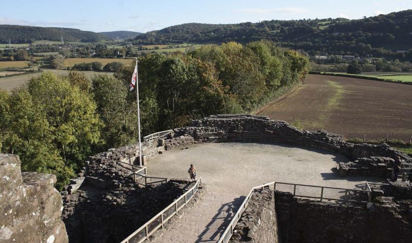 Second Image
