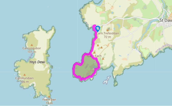 The shores of Ramsey Sound
