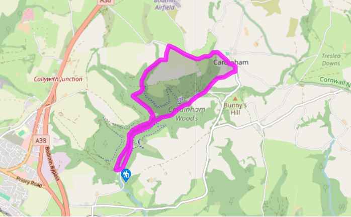 Through Cardinham Woods