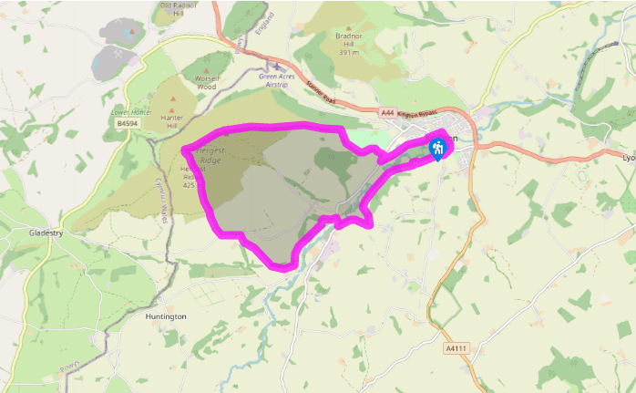 Hergest Ridge