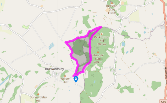 On Peckforton's estate