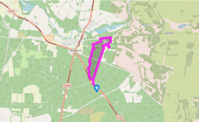 Through Thetford Forest to Lynford