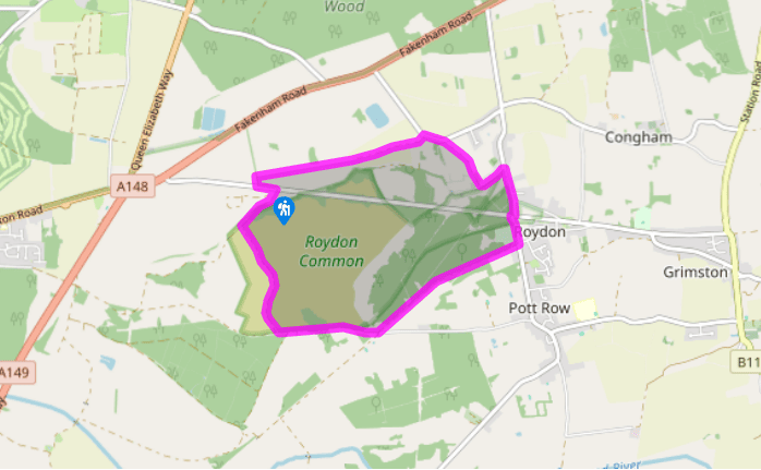Roydon Common