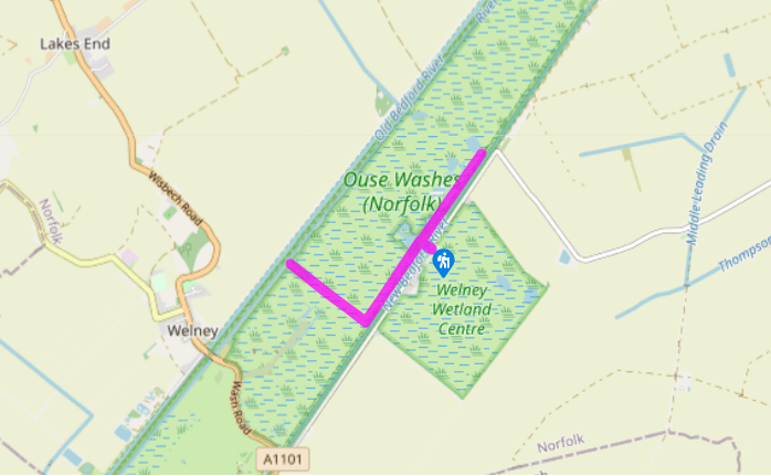 Welney's wetlands
