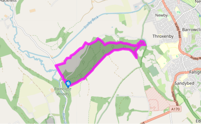 Scarborough's Raincliffe Woods