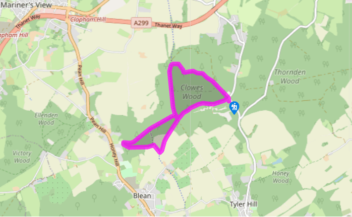 Blean's ancient woodlands
