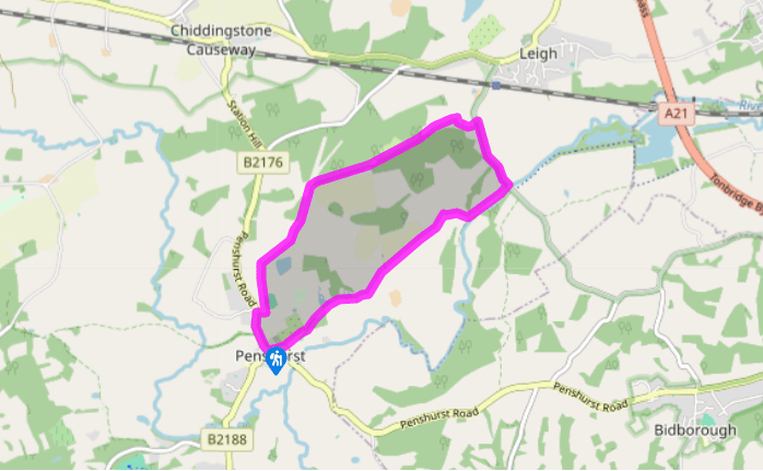 Through parkland at Penshurst