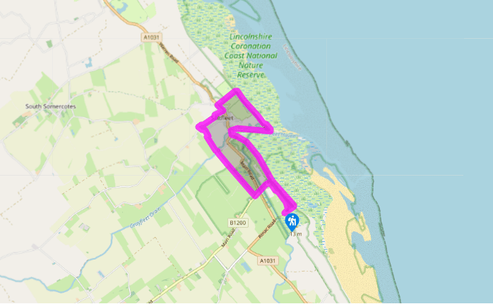On Saltfleet's dunes