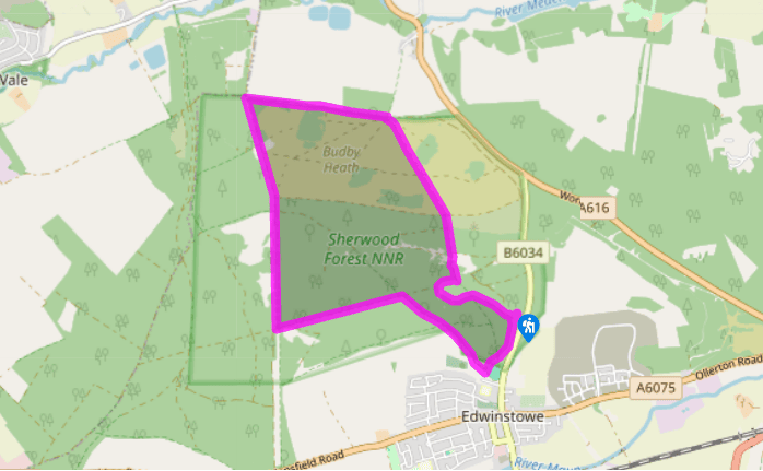 Sherwood Forest's merrie tale