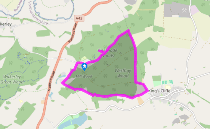 Rockingham Forest