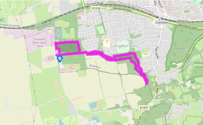 Woods and meadows at Langdon