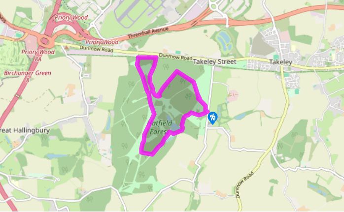 Hatfield Forest