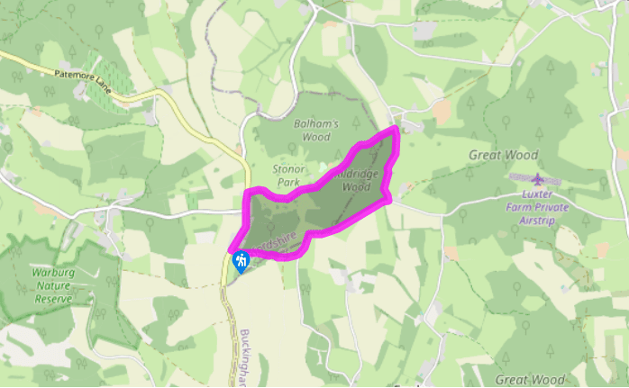 Stonor Park and around Kildridge Wood