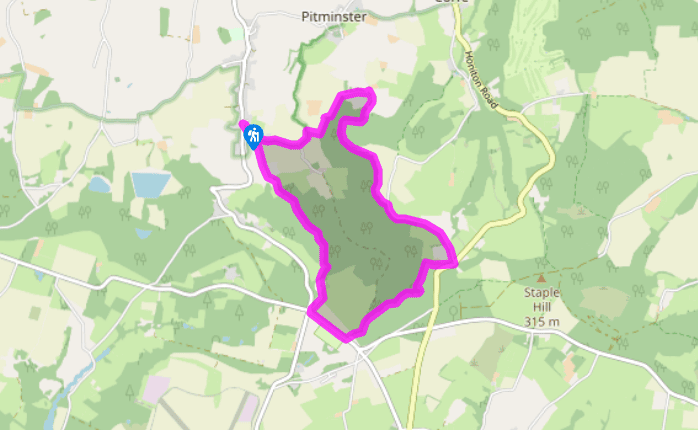 A walk in Prior's Park Wood