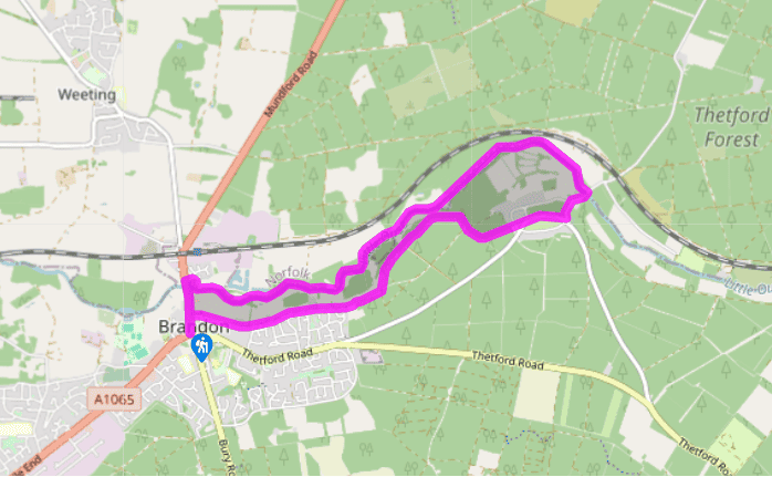 Thetford Forest and Brandon