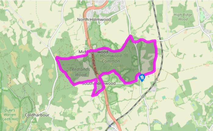 Around Holmwood Common