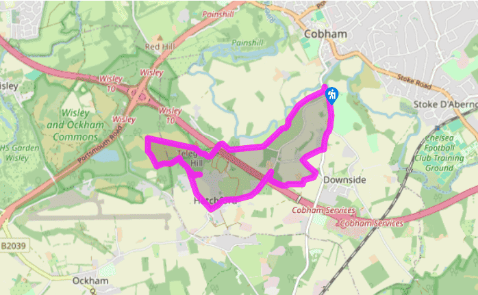Chatley and Ockham Common