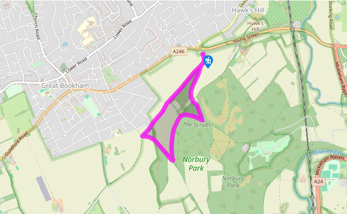 A stroll through Fetcham and Norbury
