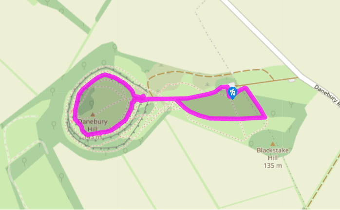 War and peace at Danebury