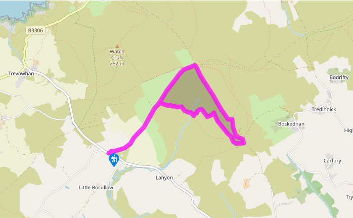 Exploring history on Madron Moor