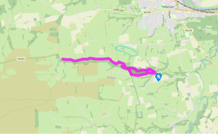 West Dipton Burn's wooded valley