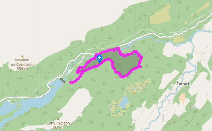 Dog Falls and Glen Affric