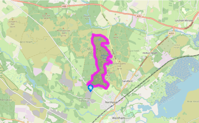 Wareham Forest